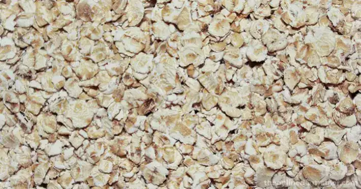 how to take care of dog’s paw in winter