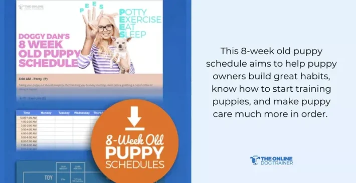 best puppy training schedule