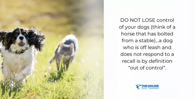 dog barking solutions