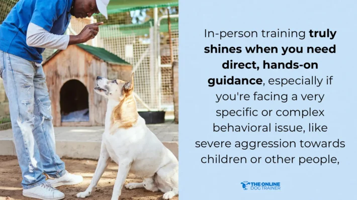 in person dog training benefits