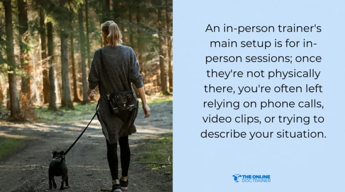 in person training for dogs