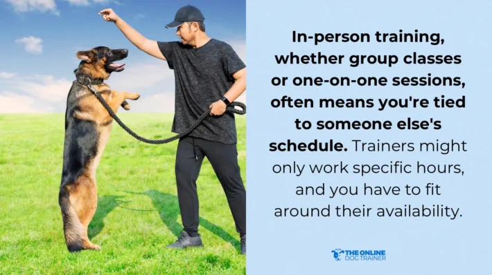 loose leash walking training