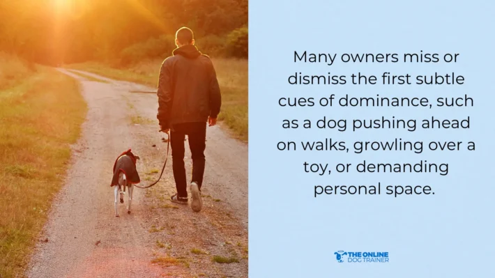 new pup puppy behavior