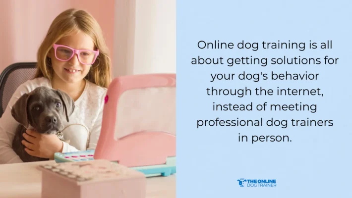 online dog training for dogs