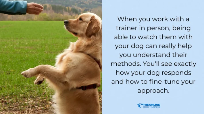 online vs in person training