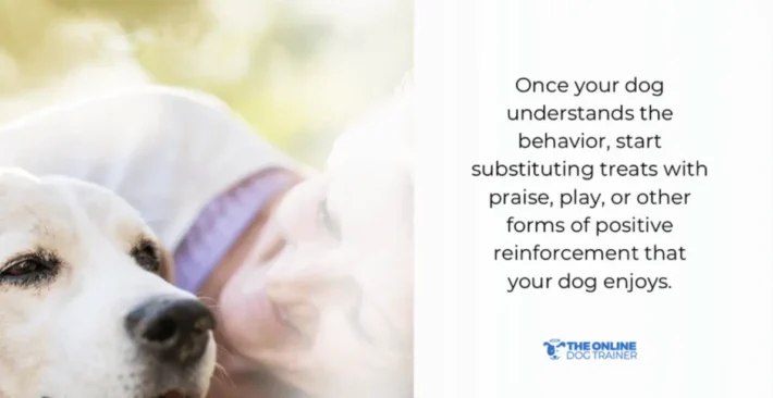 positive reinforcement training for dogs