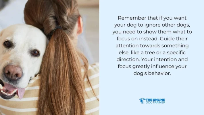 small dogs training lunging