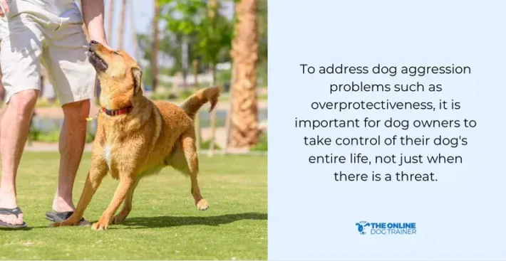 stay calm and be the pack leader