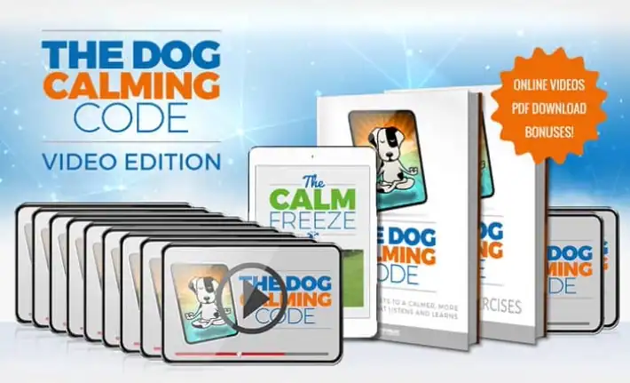 the doggy dan dog calming code