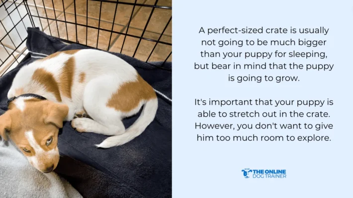 training schedule (1)