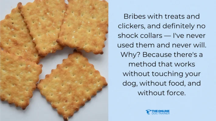 treats for dog anxiety