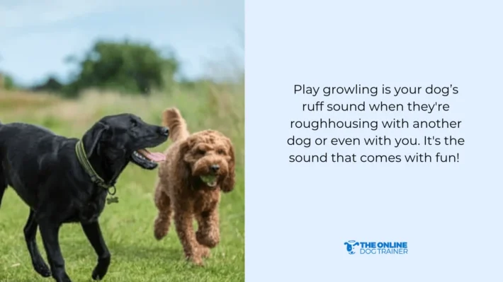 types of dog growling