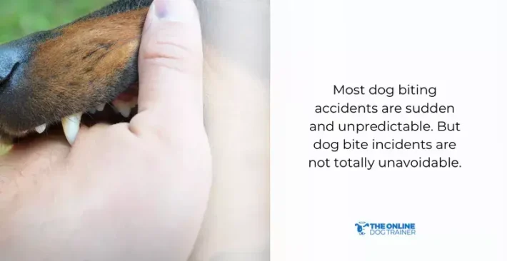 check dog's teeth dog's wounds