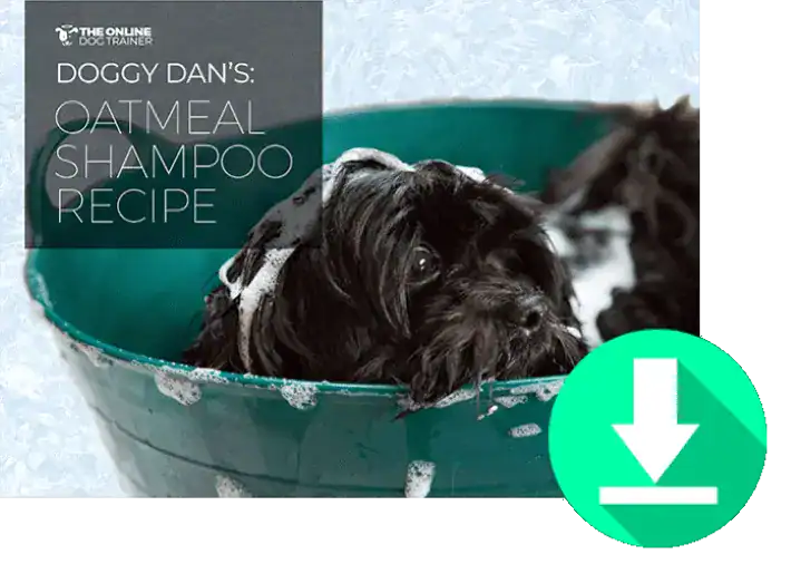 Winter-Skin-and-Paw-Care-How-to-Keep-Your-Dog-Healthy-in-Cold-Weather-HEADLINE-IMAGE